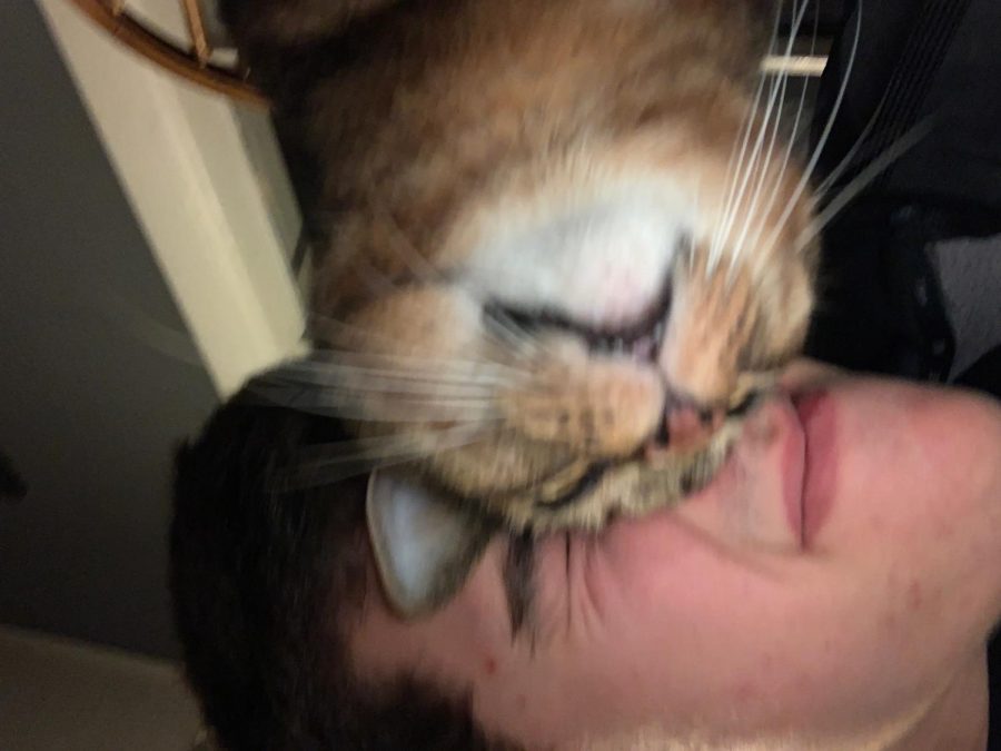 Lottchea and his cat, ____, sharing a frivolous nuzzle.  