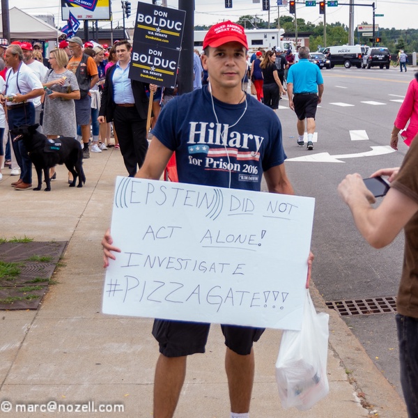 People protesting for disinformation during the 2016 election. 
