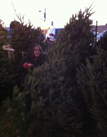 Eight year old me posing with my Christmas tree on December 14th, 2012, the day of the shooting.