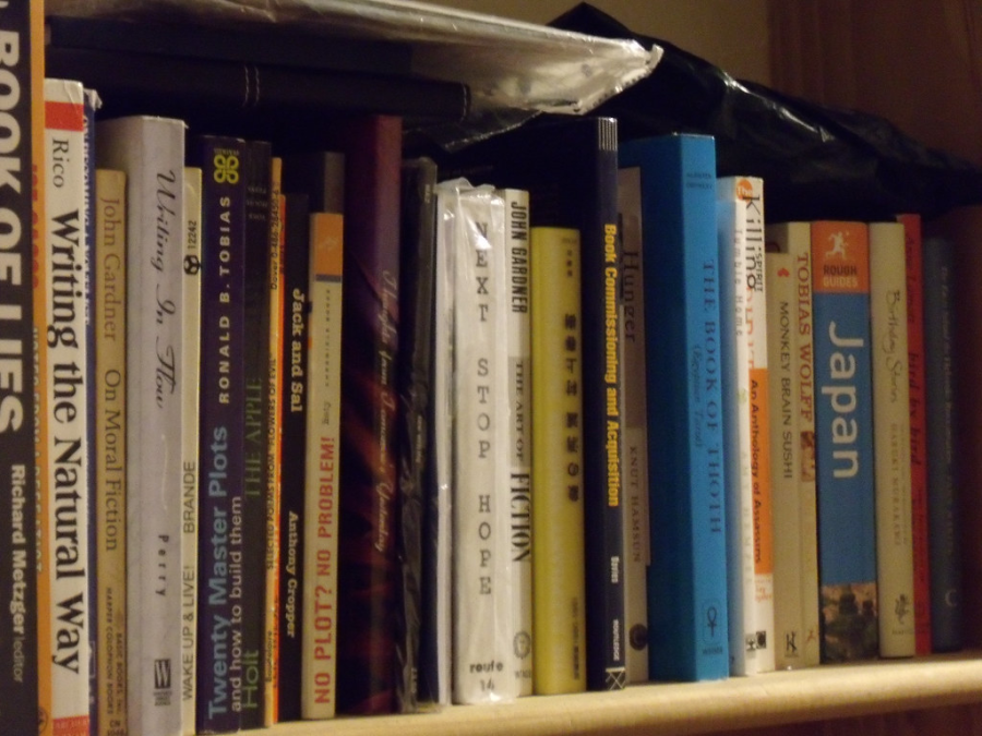 Books+on+a+book+shelf