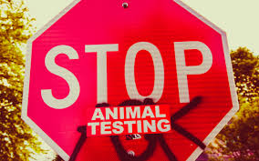 THE DANGERS OF ANIMAL TESTING