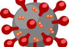 The INFAMOUS Covid-19 virus. 
