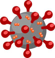 The INFAMOUS Covid-19 virus. 