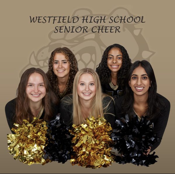 All of the seniors apart of Westfields cheer team.