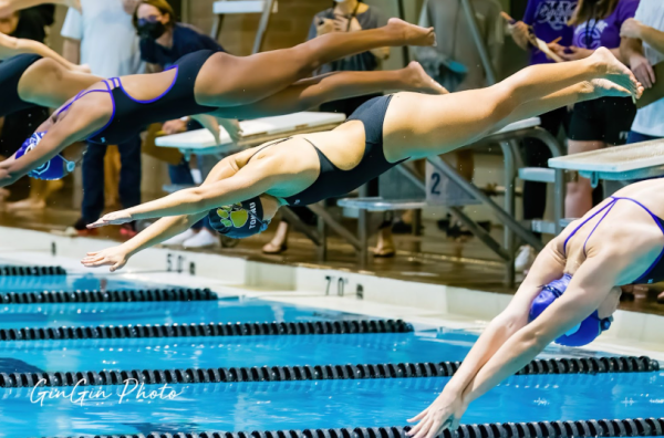 DEPTH INTO SWIM AND DIVE